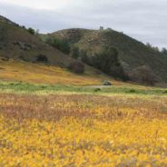 At vero eos et accusamus et iusto